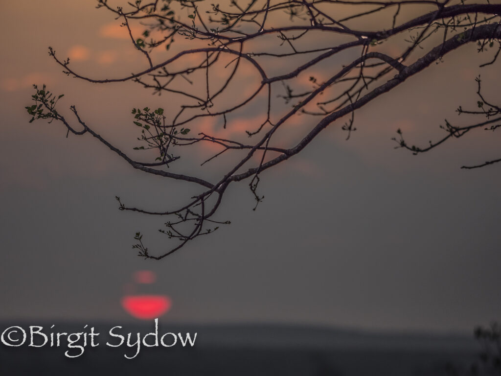 Sonnenaufgang Lower Sabie