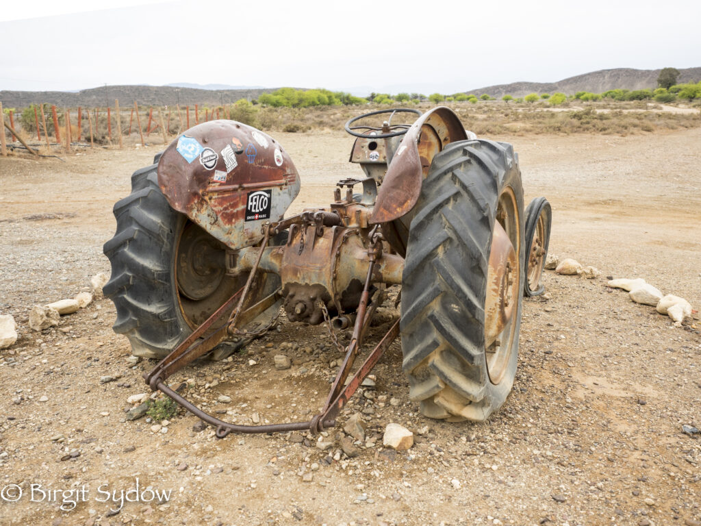 2022 Ronnies Sex Shop